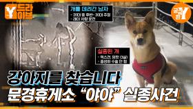 한 달 만에 찾은 강아지 '야야' 🐶 실종사건의 전말 | Y드라이브