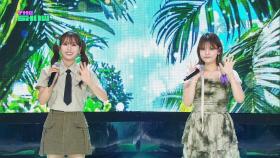 YDS, Cicadas in Green Summer (여동생, 초록 여름 매미) [THE SHOW 240820]