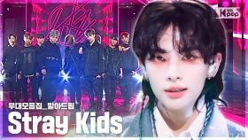 [4K] 스트레이 키즈 (Stray Kids)💥데뷔부터 지금까지💥무대 말아드림 | ROCK (돌) 부터 JJAM 까지