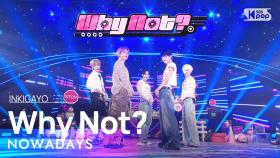 NOWADAYS (나우어데이즈) - Why Not? @인기가요 inkigayo 20240901