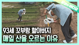 꽃을 들고 산을 오르는 마을 최고령 할아버지┃The Oldest Man in the Town Who Goes Up the Hill with Flowers Every Day