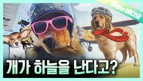 오리 날다 아닌 강아지 날다🐶┃A Flying Doggy 🐶