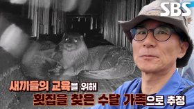 수달들이 방파제 위 횟집을 드나드는 이유※