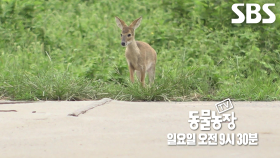 [11월 17일 예고] 이제는 볼 수 없는 ‘고란희’와의 가슴 절절 사랑 이야기