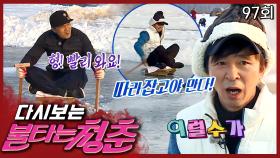 [#불타는청춘] 급기야 비디오 판독까지🔥 치열한 썰매 대결의 우승팀은?!❄ EP. 97