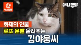 부자가 되고 싶어? 복권방 김야웅을 찾아가 봐! SBS뉴스멀봐 (2024.11.15)ㅣWant To Be Rich? Go Meet Meow Kim In Lottery Story!