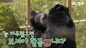 곰은 사람을..찢...아니 웃게해ㅋㅋㅋㅣ이상한동물원 E.01ㅣBears Tear Off Hu… Humors I Special Crnter For Animals Ep 1