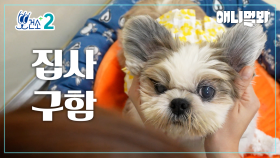 [뽀건소 입양 프로젝트-3화] 🤎벤자민🤎ㅣ[Dr Paw Adoption Project- Ep 3] 🤎Benjamin🤎