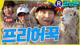 양들과 프리허그 #런닝맨 ep.333