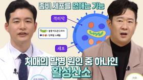 ‘활성산소’ 좀비 세포와 치매의 연관성↘ (더건강한스쿨)