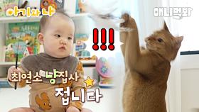 간식 먹을 고양이라고 부르면 날아오르는 고양이(아기 집사 깜놀)ㅣCat Flies When Butler Gives A Snack?? (Baby Butler’s Surprised)