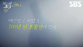 [예고] 대한민국 바닷 속 상상을 초월하는 보물선이 있다?! 700년 된 보물선을 도굴하려는 자와 이를 지키려는 발굴꾼의 싸움💰 | 꼬리에 꼬리를 무는 그날 이야기 | SBS