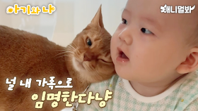 고양이에게 헤드번팅으로 인정받은 최연소 냥집사ㅣThe Youngest Cat Head-Bunting Verified Butler