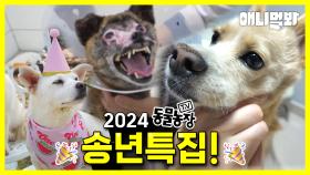 [풀영상] 굿바이 2024!🙌 동물농장 송년맞이 근황 특집🐶🐱ㅣ[FULL] Adios 2024! 🙌TV Animal Farm Star Updates🐶🐱