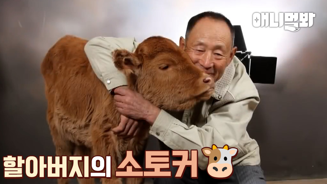 [설 특집]할아버지와 동물의 찐한 브로맨스 보러오소ㅣ[Lunar New Year Special] Bromance between Grandpa and the Animals | ZUM TV