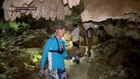 아나타키타키 동굴 발견