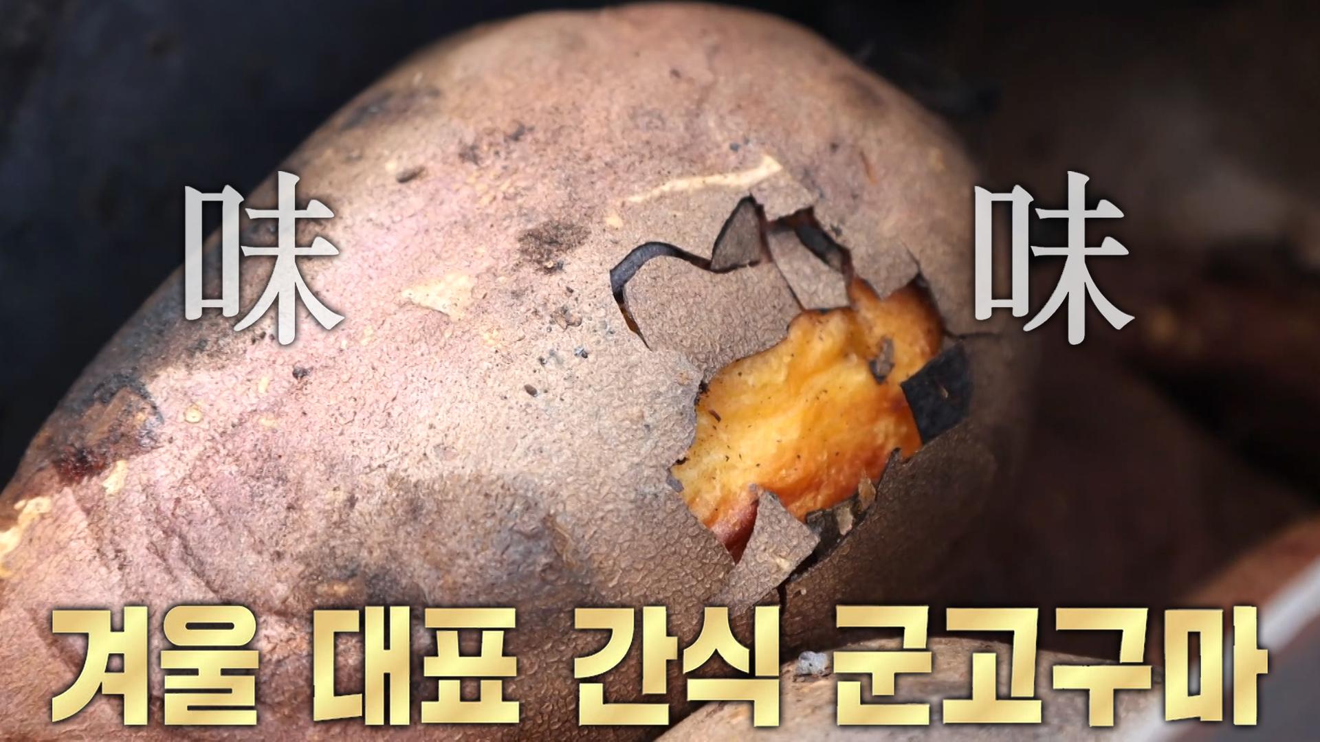 꽁꽁 언 몸 따듯하게 녹여주는 쫀득×달콤 군고구마♨ | ZUM TV