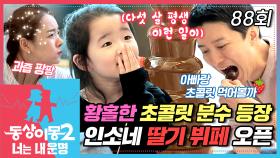 [#동상이몽2] 하은이를 홀딱 반하게 한🥰 아빠 교진의 초콜릿 분수 선물🍫 직접 딴 딸기로 즐기는 인소 패밀리의 딸기 뷔페🍓 EP.88