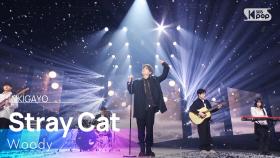 Woody (우디) - Stray Cat (길냥이) @인기가요 inkigayo 20250223