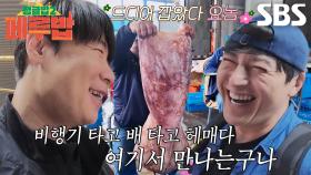 최현석, 시장에서 실물 영접한 대왕오징어에 화색↗
