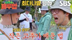 최현석×최다니엘, 최형제의 매운 고추 먹기 내기♨