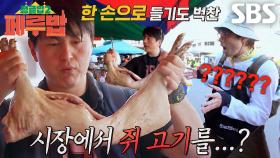 “이게 쥐..라고요?” 류수영×최다니엘, 아마존 쥐 ‘사차꾸이’ 비주얼에 충격