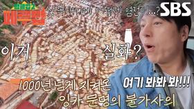 “염전이야!!” 류수영, 안데스의 숨겨진 염전 살리네라스 발견!