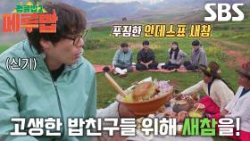 정글밥 멤버들, 오색빛 새참 한 그릇에 끝없는 감탄↗