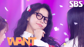 솔라 (Solar) - WANT | SBS 250406 방송