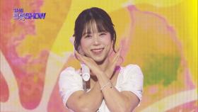 양지은 - 사뿐히 살랑 | 더 트롯쇼 250407