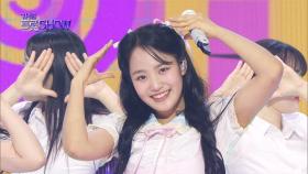 김태연 - 앵콜 | 더 트롯쇼 250407