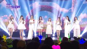 미스트롯 8인 - 평생 | 더 트롯쇼 250331