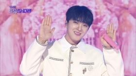 황윤성 - 꽃바람 (원곡:박상철) | 더 트롯쇼 250407