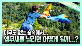 보내도~ 보내도~ 부메랑처럼 돌아오는 앵무새 듀오🦜