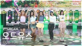 [안방1열 풀캠4K] 오드유스 'I Like You' (ODD YOUTH FullCam) @SBS Inkigayo 250420