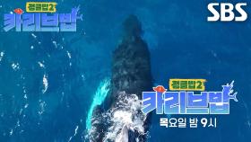 [4월 24일 예고] 일생일대의 행운! 바다 한복판에서 마주친 카리브해의 전설★