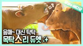 소🐮 : 목탁 소리 내드려요