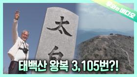 태백산 🏃🏻‍♂️왕복 3번🏃🏻‍♂️ 뛰어서 가능한 상남자ㄷㄷ;;┃A Man Who Can Climb Taebaeksan 3 Times in a Row 🏃🏻‍♂️