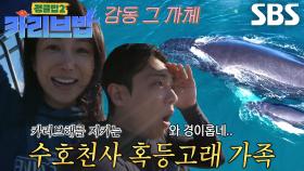 이준×김옥빈, 일생일대 행운으로 우연히 만난 혹등고래 가족♥