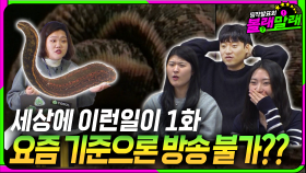 방송 역사상 가장 센 1화…? 〈세상의 이런일이〉 1화 리얼 리뷰📺┃Real Review of the 1st Episode