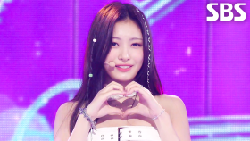 ODD YOUTH - I Like You | SBS 250504 방송