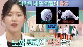 건강의 출발점! 노화 늦추기 위한 세포 관리 핵심 비법↗ (기적의아침)