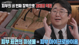 바이러스·세균 막아주는 피부 ‘마이크로바이옴’의 기능