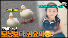 모닝 pick! 그때 그 귀요미들의 근황은?