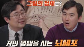 우리 몸에서 가장 오래 사는 ‘뇌세포’의 위대한 발견!