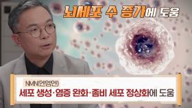 ‘NMN’ 섭취하면 도움 되는 좀비 세포×뇌세포 회복★