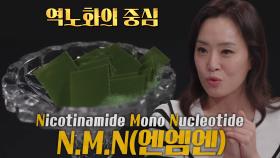 세포 에너지 생성과 역노화의 중심 ‘NMN’