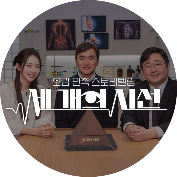 세 개의 시선