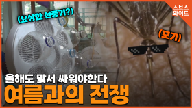 올 여름, 굉장히 덥다고 합니다 여름 대비 수상한 소문!