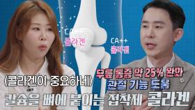 콜라겐이 뼈×관절×혈관에 주는 영향